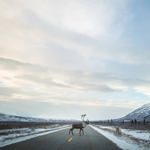 Encounters At The End Of The World - Aurélien Buttin - Photographer