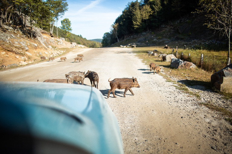 Encounters At The End Of The World - Aurélien Buttin - Photographe