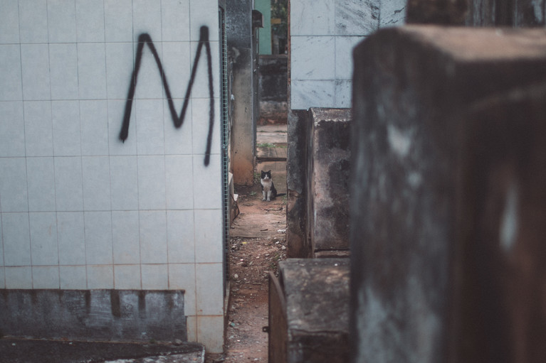 The Recoleta's Grave Robbers - Aurélien Buttin - Photographer