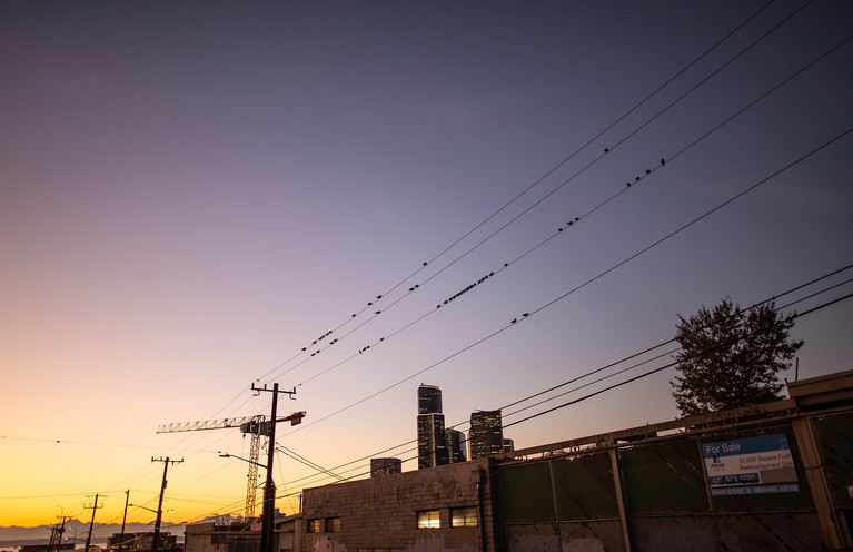 Encounters At The End Of The World - Aurélien Buttin - Photographe