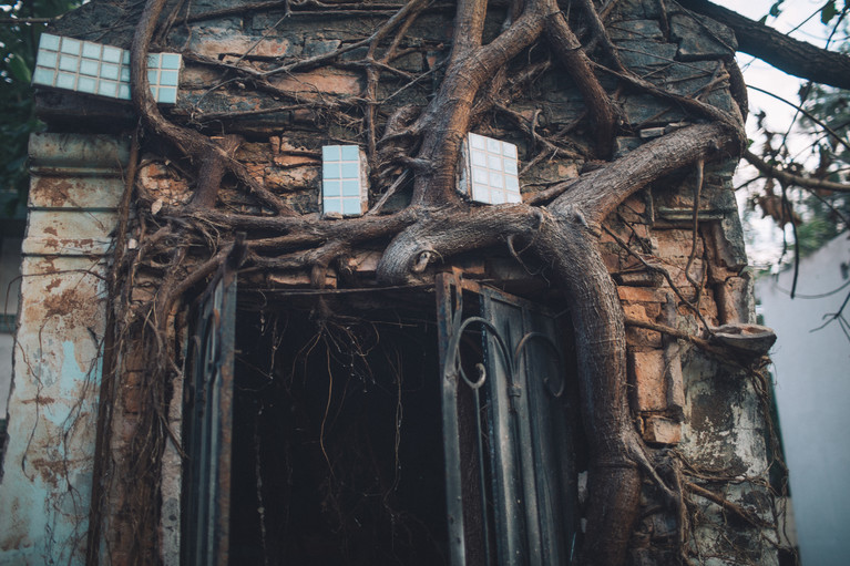 The Recoleta's Grave Robbers - Aurélien Buttin - Photographer