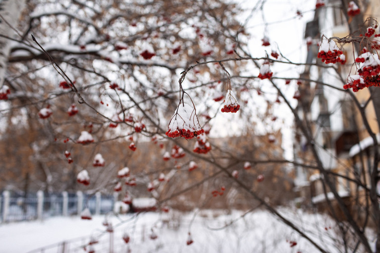 White Winter Hymnal - Aurélien Buttin - Photographer