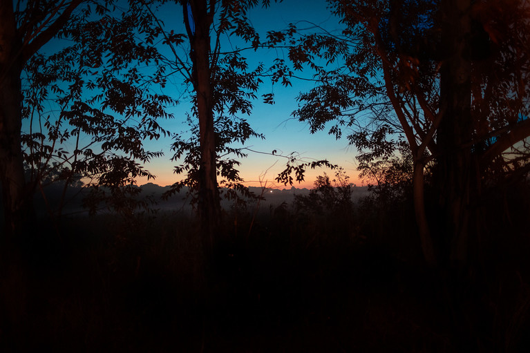 Tanarandy - Aurélien Buttin - Photographe