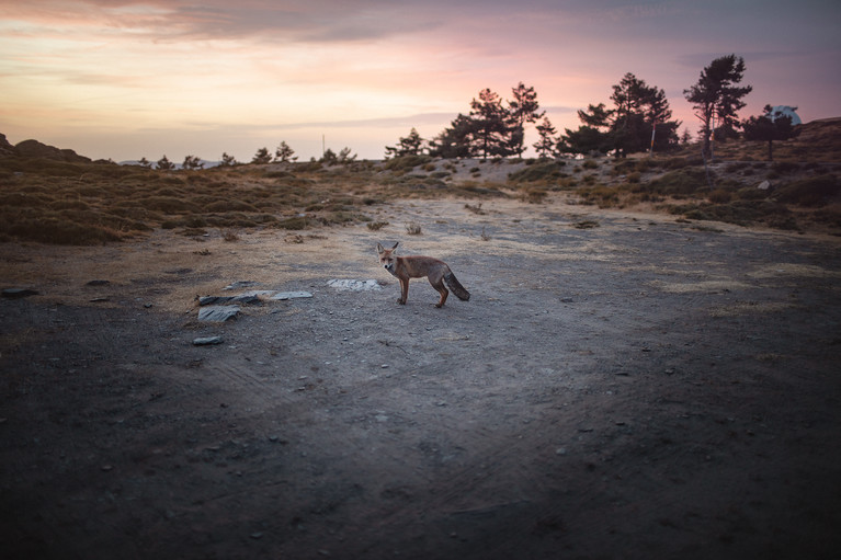 Transiberica Badlands - Aurélien Buttin - Photographe