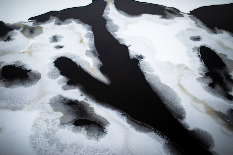 White Winter Hymnal - Aurélien Buttin - Photographer