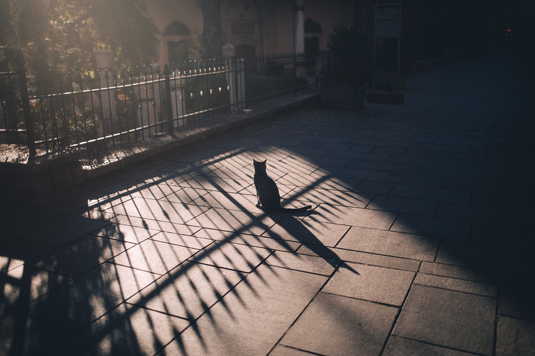 Coup de Pouce - Aurélien Buttin - Photographe