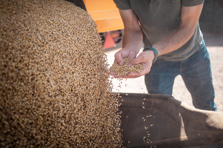 Hautefeuille's Distillery - Aurélien Buttin - Photographer