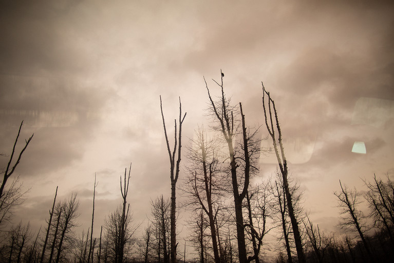 Encounters At The End Of The World - Aurélien Buttin - Photographer