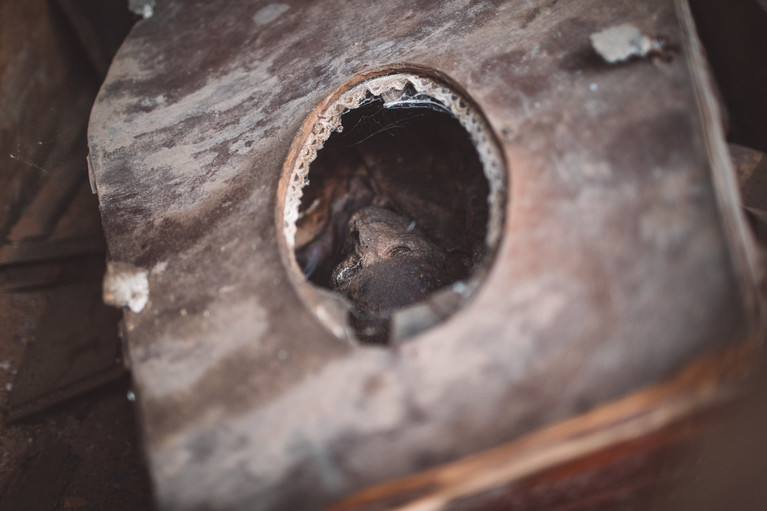 The Recoleta's Grave Robbers - Aurélien Buttin - Photographer