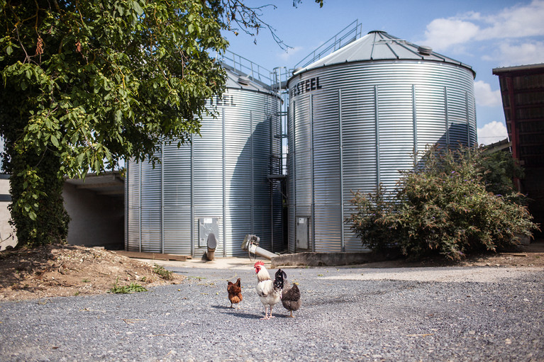 Distillerie d'Hautefeuille - Aurélien Buttin - Photographe