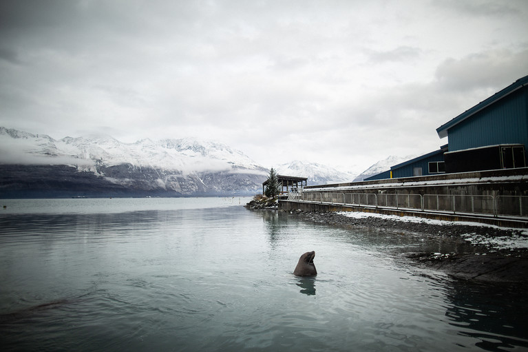 Encounters At The End Of The World - Aurélien Buttin - Photographe