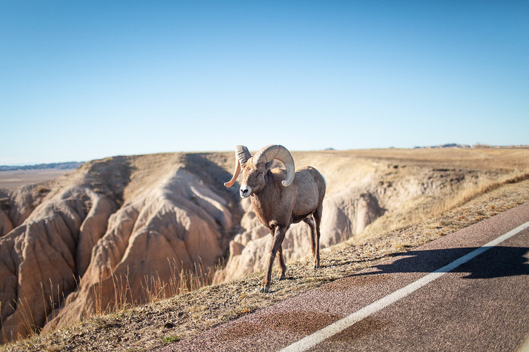 Encounters At The End Of The World - Aurélien Buttin - Photographer