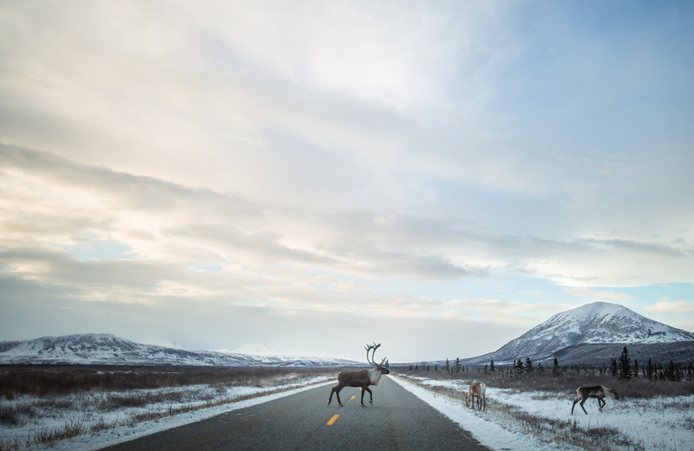 Encounters At The End Of The World - Aurélien Buttin - Photographer